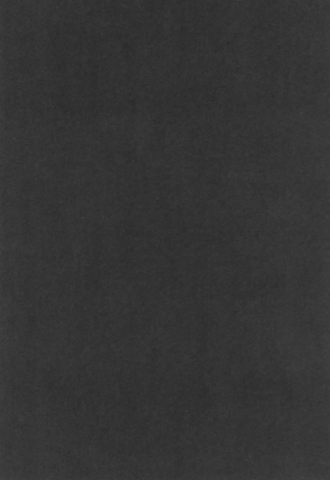 [Sengoku Aky] Double Hazard! Fhentai - Page 3