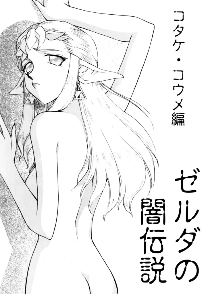 [Taira Hajime] NISE Zelda no Densetsu Shinshou Fhentai - Page 6