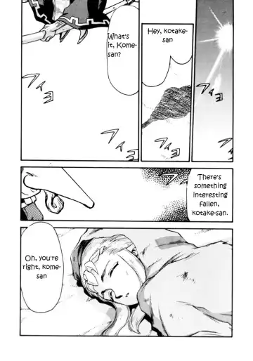 [Taira Hajime] NISE Zelda no Densetsu Shinshou Fhentai - Page 5