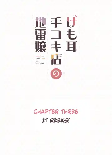 [Sunaba Suzume] Kemomimi Tekoki Ten no Jirai Jou (decensored) Fhentai - Page 33