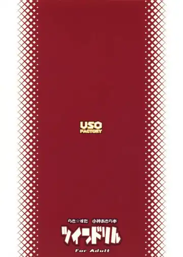 [Solomon K] Twin Drill Fhentai - Page 20