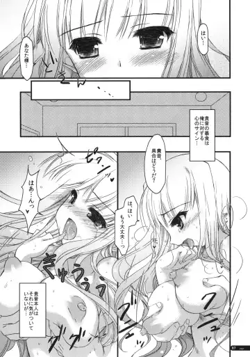 [Hotei Kazuha] Hatsujou Princess Fhentai - Page 6