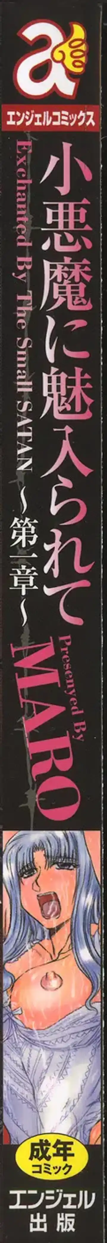 [Maro] Koakuma ni Miirarete ~Daiisshou~ Fhentai - Page 5