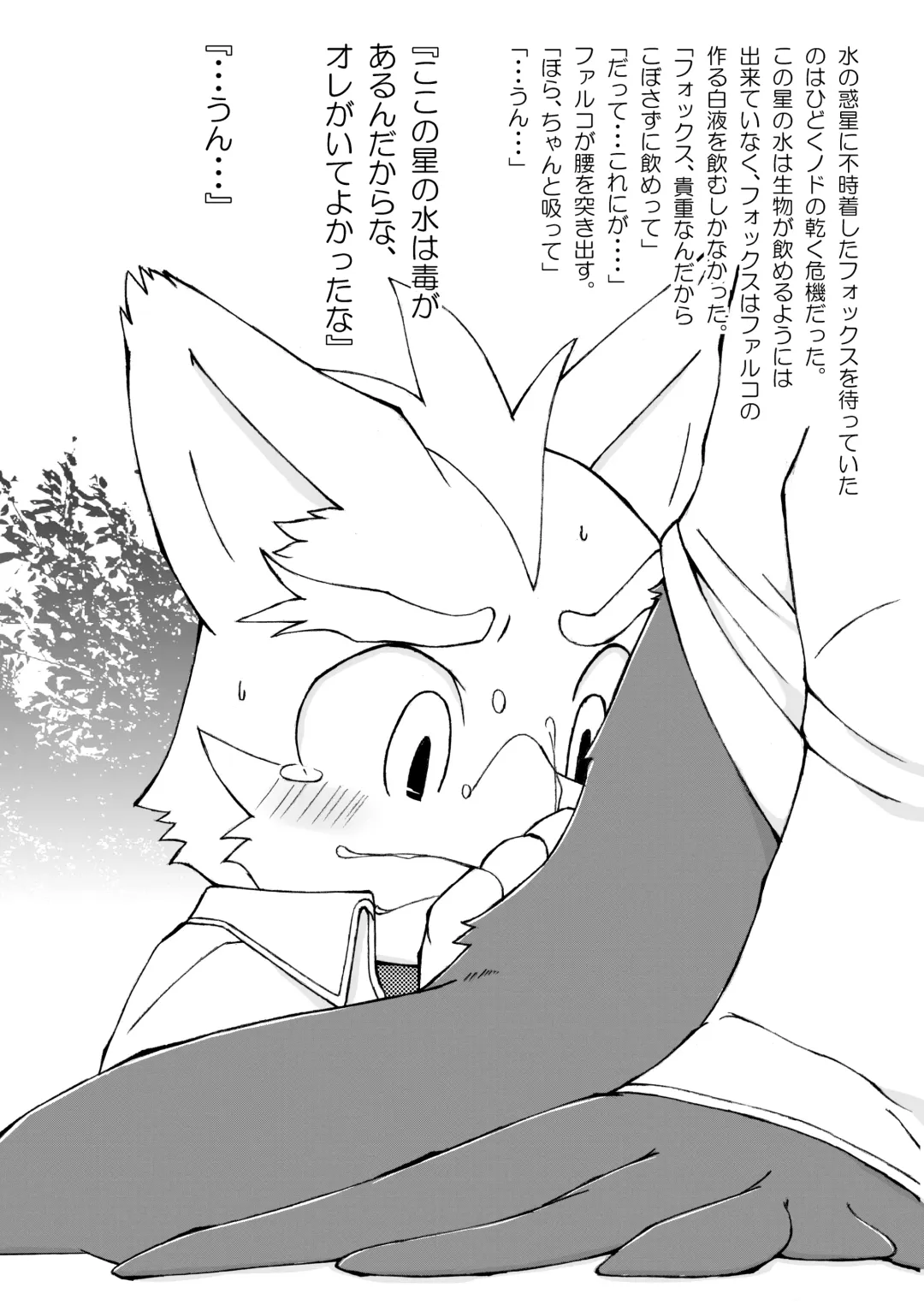 [Ofuro] Falco Fox Fhentai - Page 13
