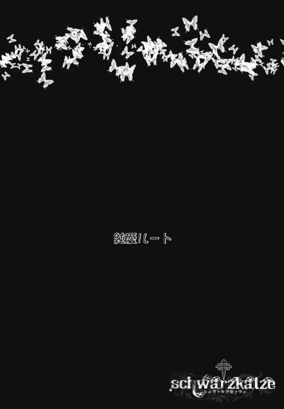 [Miyagoe Yoshitsuki] schwarzkatze Fhentai - Page 3