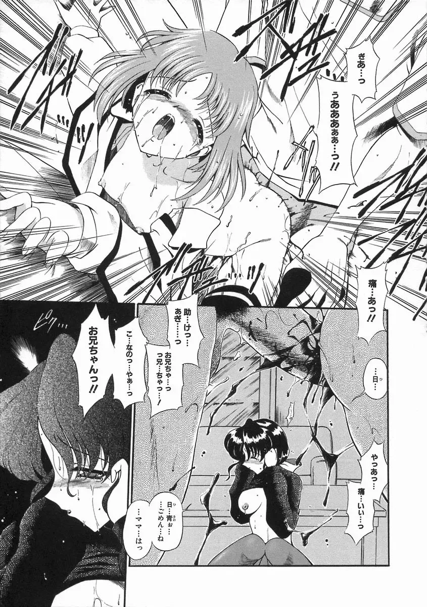 [Noraneko Nagaya] Nureiro no Junjou Fhentai - Page 67