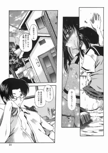 [Noraneko Nagaya] Nureiro no Junjou Fhentai - Page 27