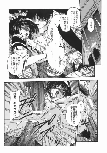 [Noraneko Nagaya] Nureiro no Junjou Fhentai - Page 35