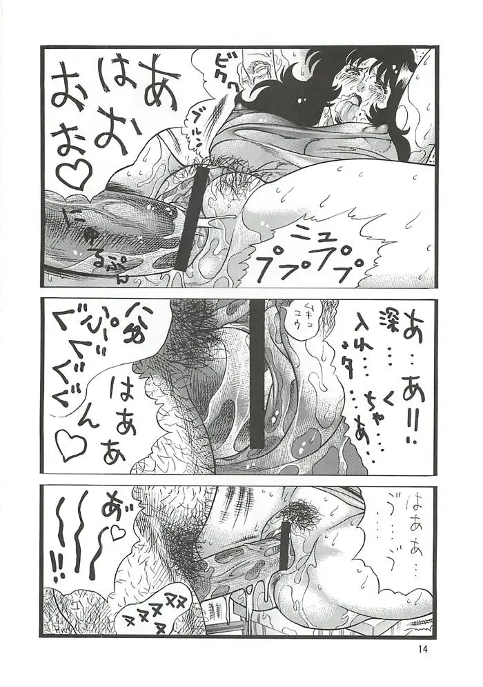 [Inugai Shin] CAT'S HUNTER 2 Fhentai - Page 13