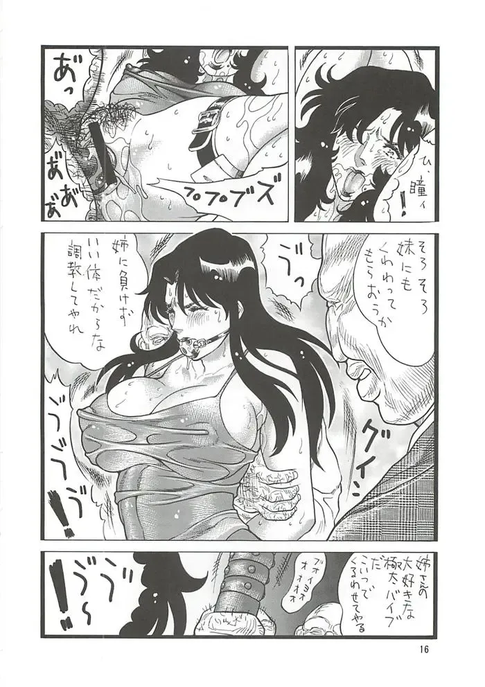[Inugai Shin] CAT'S HUNTER 2 Fhentai - Page 15