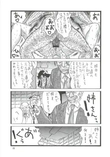 [Inugai Shin] CAT'S HUNTER 2 Fhentai - Page 14