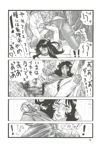 [Inugai Shin] CAT'S HUNTER 2 Fhentai - Page 17