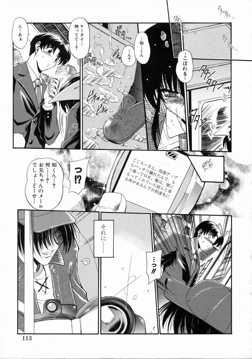 [Noraneko Nagaya] Reijou Shuukan Fhentai - Page 119