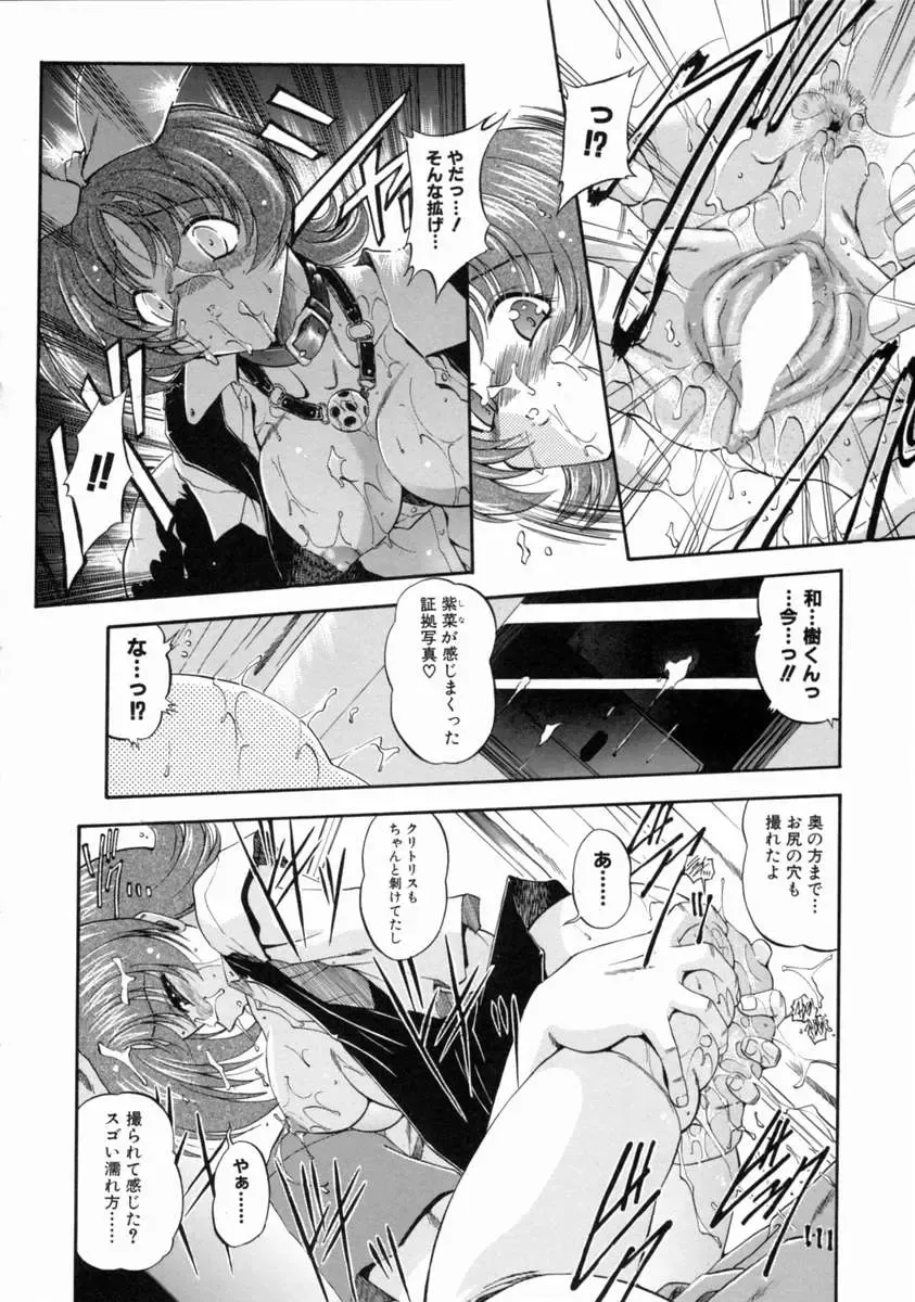 [Noraneko Nagaya] Reijou Shuukan Fhentai - Page 36