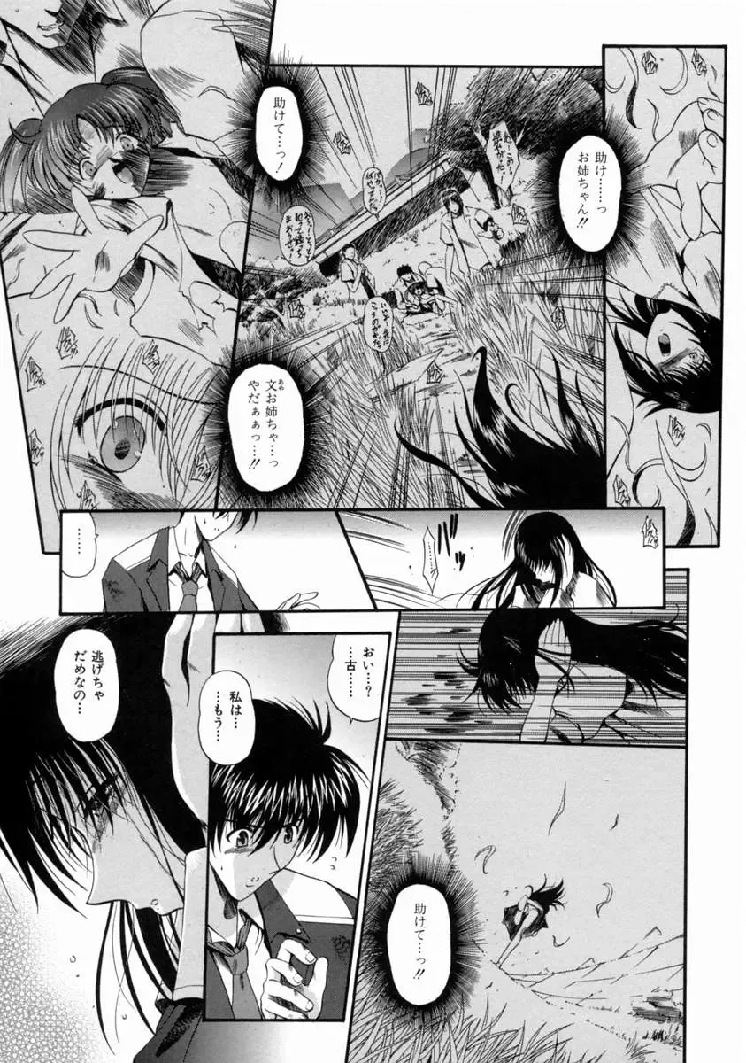 [Noraneko Nagaya] Reijou Shuukan Fhentai - Page 47