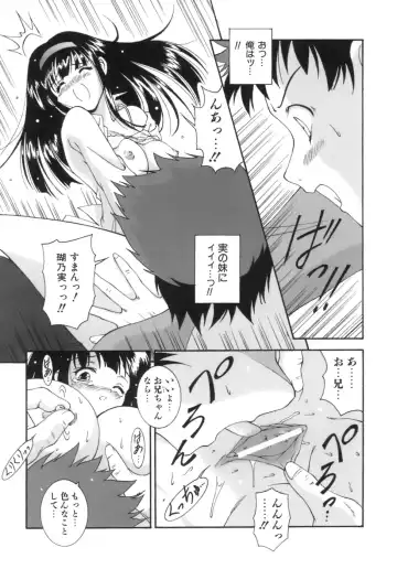 [Nishikigaura Koizaburou] M no Ensemble Fhentai - Page 173