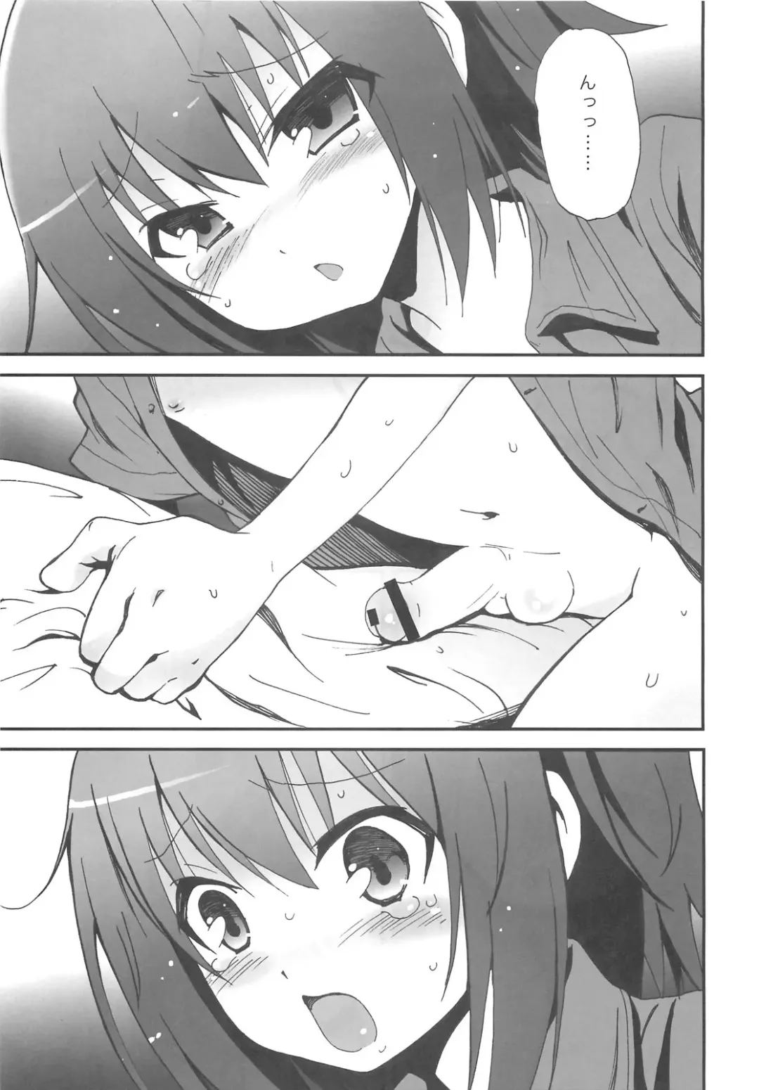 [Plus] Hideyoshi Haitenai Fhentai - Page 3