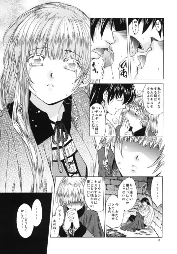 [Heizo - Kitoen] Saint Foire Festival 3 Fhentai - Page 12