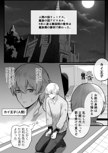 haisenkoku no ōji ni wa hazukashī bachi o uketemorauzo . Fhentai - Page 3