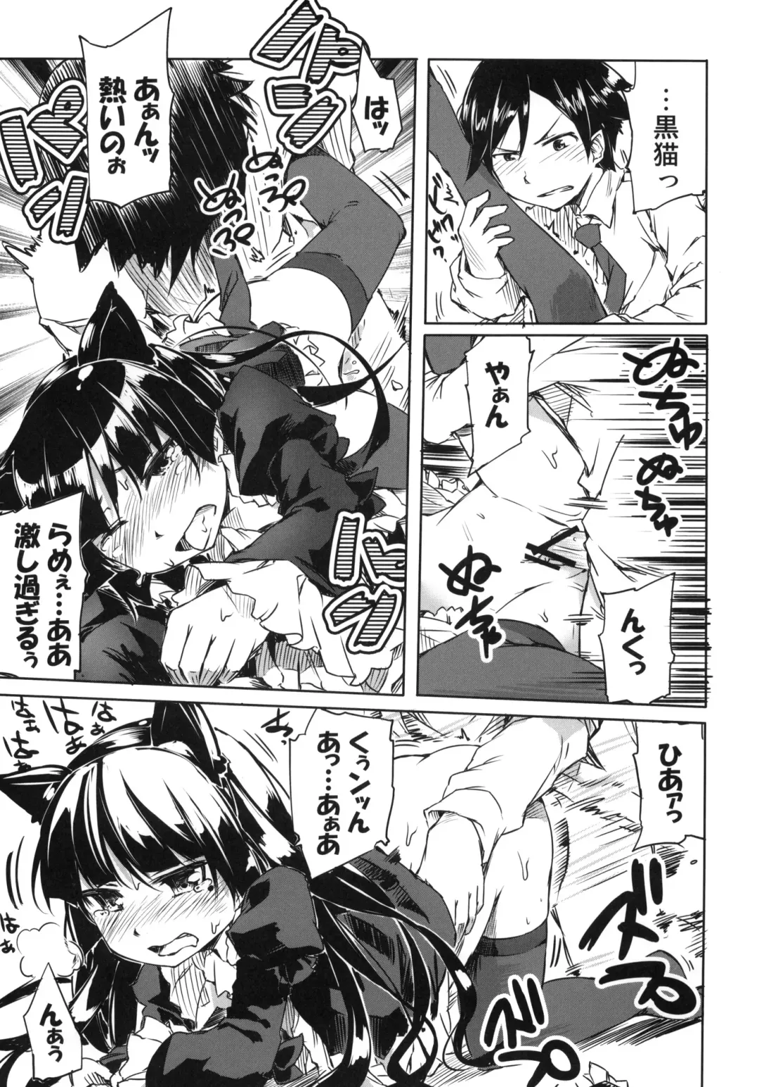 [Amakan] Ore no Kuroneko ga Konna ni Nyannyansuru Wake ga nai Fhentai - Page 14