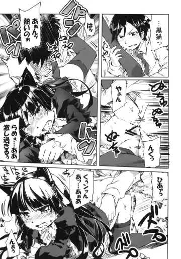 [Amakan] Ore no Kuroneko ga Konna ni Nyannyansuru Wake ga nai Fhentai - Page 14
