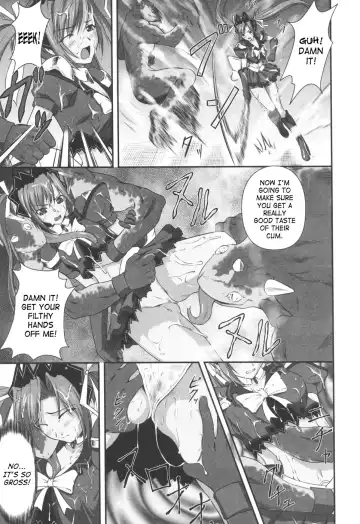 [Rindou] Ryoujoku no Rensa Fhentai - Page 25