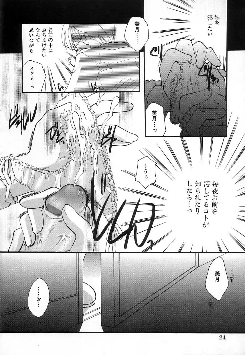 [Itou Ei] Jun Shoujo Fhentai - Page 28