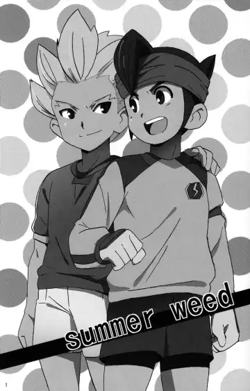 [10nin - Inuyama Niyao] Summer Weed Fhentai - Page 3