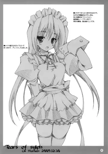 [Kinohara Hikaru] Tears of sylph Fhentai - Page 10