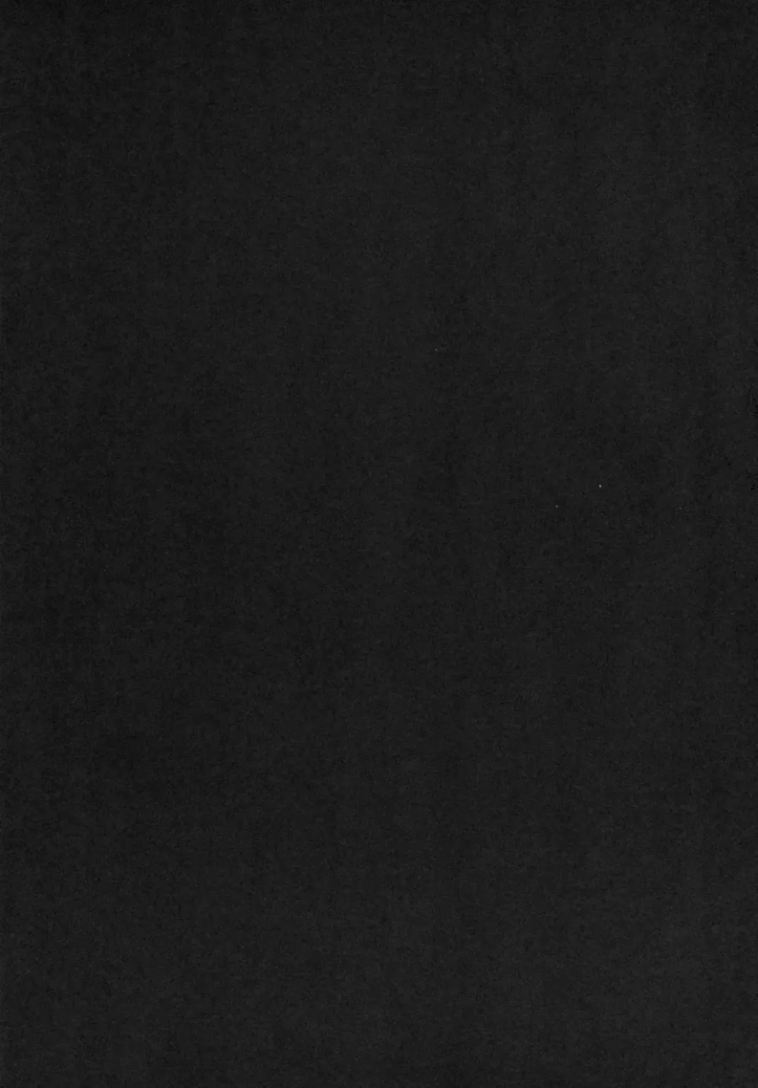 [Mabuchoko M] Oidemase Yakumo Shiratama "Yuukaku" Rou Fhentai - Page 4