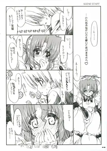 [Shaa] THE Hayate DE Pon! SCENE MARIA Fhentai - Page 10