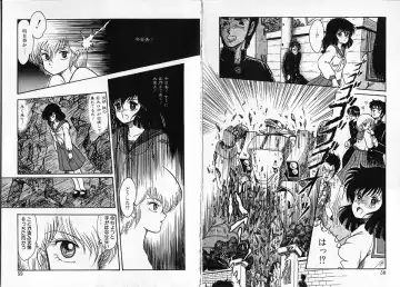 [Shin Tsuguru] Physical Flapper Fhentai - Page 30