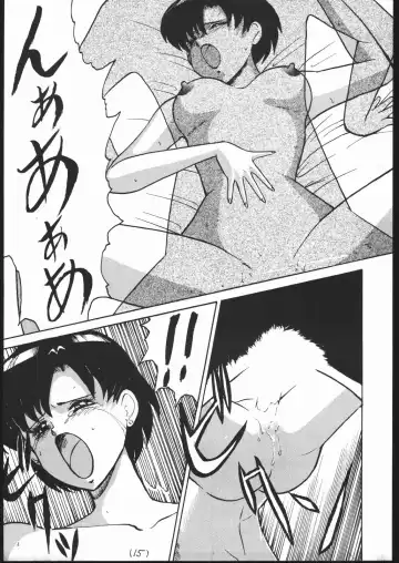 [Sakamoto Sarutomunto Nerima - T.d - Umedama Nabu] Chou NanDemo:9 ~ Sailor Moon Special Kai Fhentai - Page 15