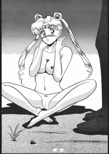 [Sakamoto Sarutomunto Nerima - T.d - Umedama Nabu] Chou NanDemo:9 ~ Sailor Moon Special Kai Fhentai - Page 38