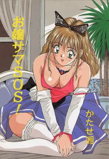 [Katase Shou] Ojou-sama SOS! Fhentai - Page 2