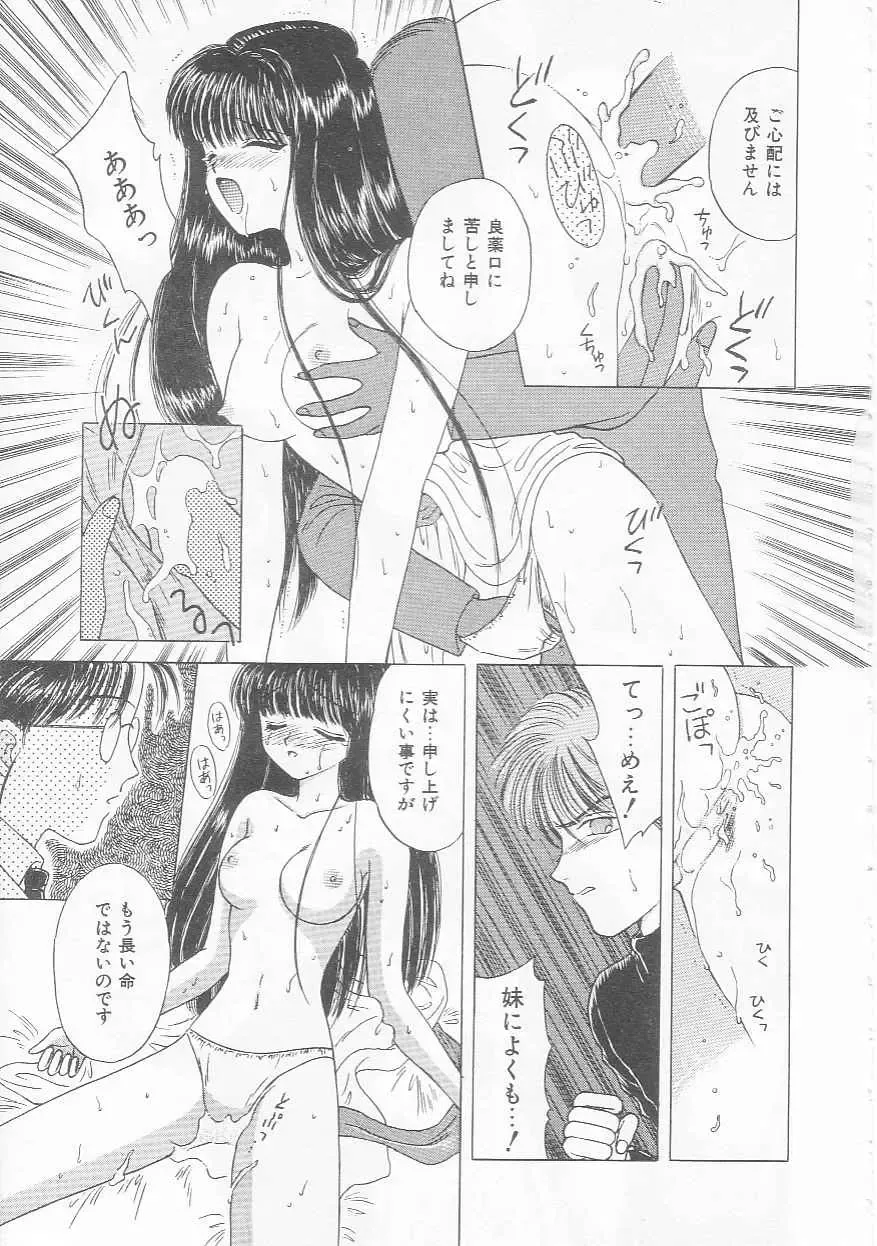 [Kirisawa Mint] bishoujo shiiku no susume Fhentai - Page 119