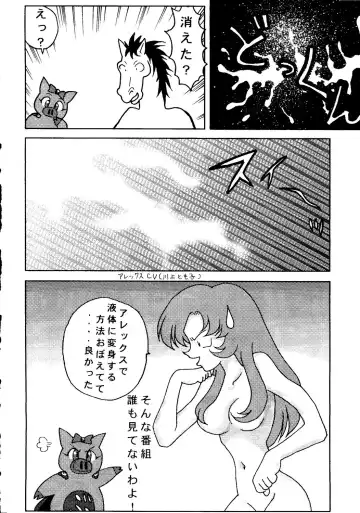 VS-X Fhentai - Page 19