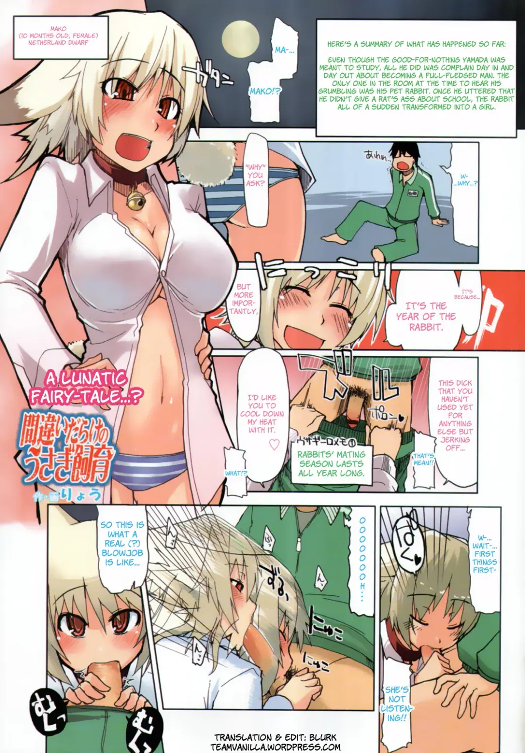 [Ryo] Machigai Darake no Usagi Shiiku | You're Doing It Wrong! Fhentai - Page 1