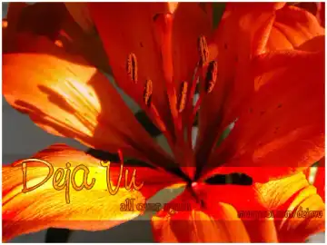 [Akazaki Yasuma] Close to You Fhentai - Page 22