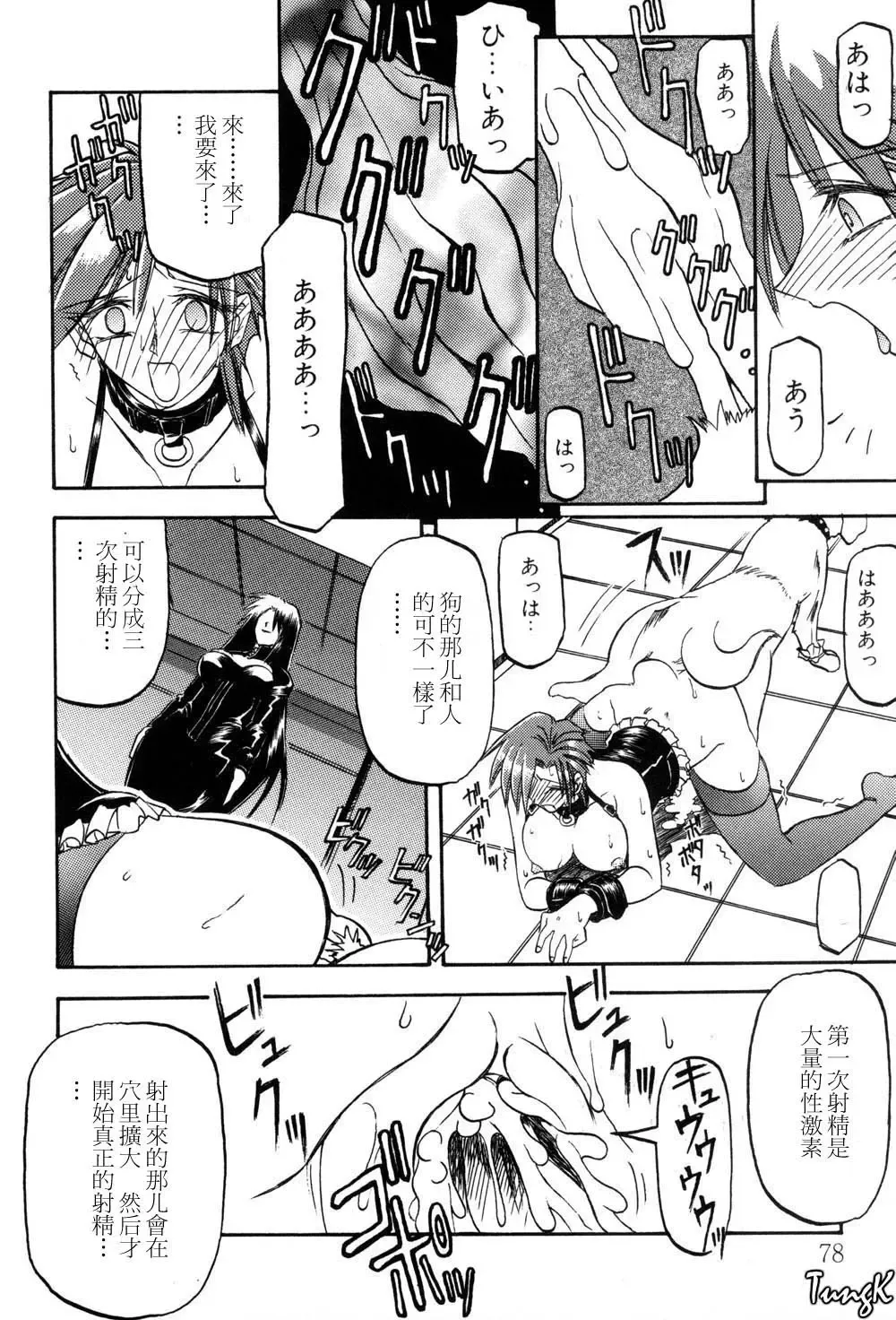 [Sanbun Kyoden] Sein Zain Fhentai - Page 78