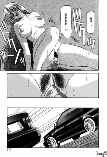 [Sanbun Kyoden] Sein Zain Fhentai - Page 177