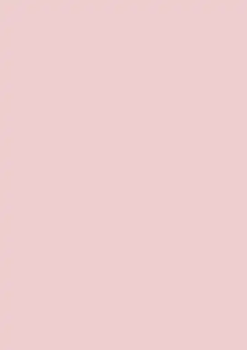 [Nanpuu] Flan to Issho Fhentai - Page 2