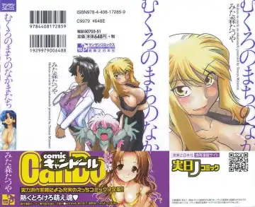 [Mitamori Tatsuya] Mukuro no Machi no Nakama-tachi Fhentai - Page 2