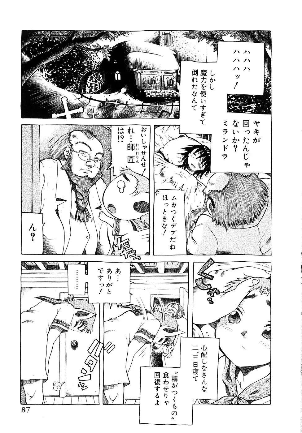 [Awaji Himeji] Seisei Masou Organ Fhentai - Page 88