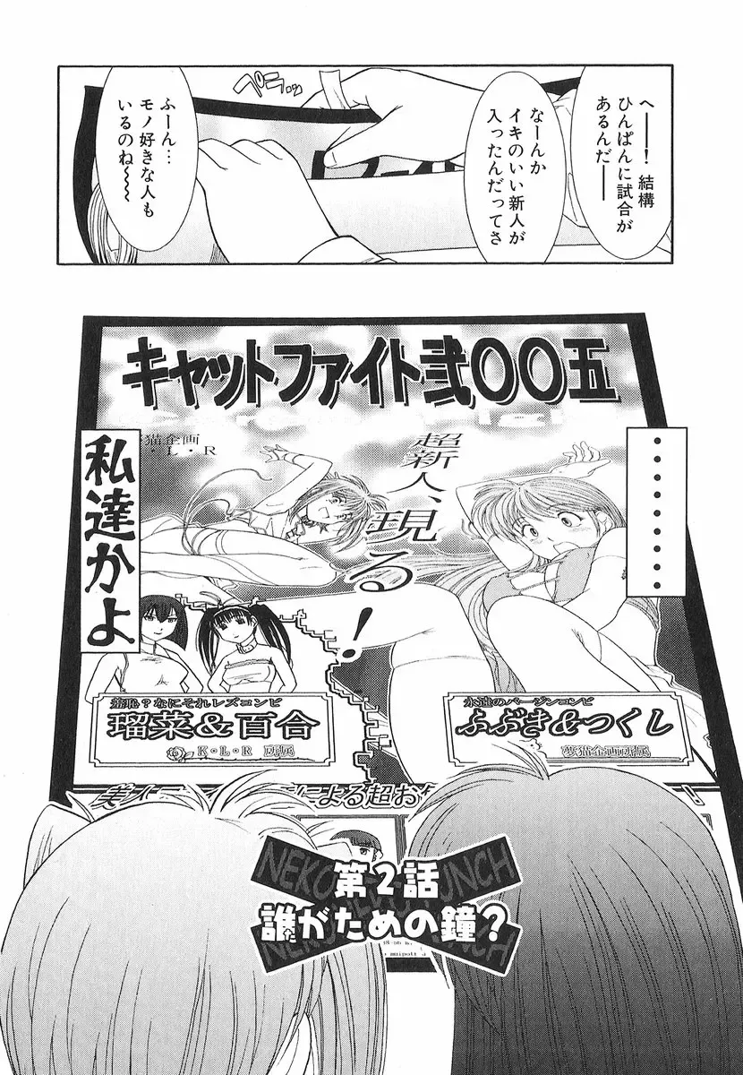 [Ohmi Takeshi] Neko Neko Punch! Fhentai - Page 37