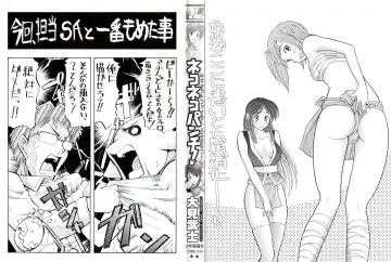 [Ohmi Takeshi] Neko Neko Punch! Fhentai - Page 2