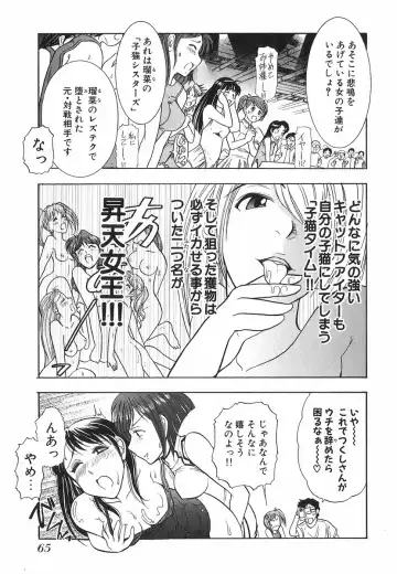 [Ohmi Takeshi] Neko Neko Punch! Fhentai - Page 66