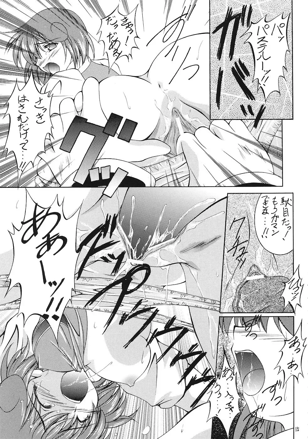 Sister & Sister Fhentai - Page 14