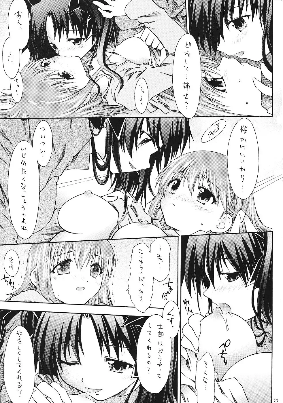 Sister & Sister Fhentai - Page 22