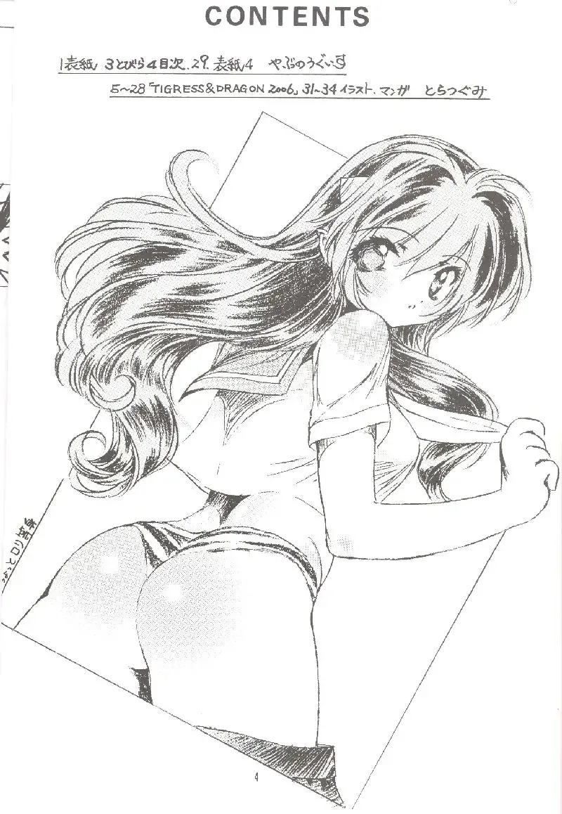 [Toratugumi - Yabuno Uguisu] NDL 3.5 Tigress & Dragon 2006 Fhentai - Page 3